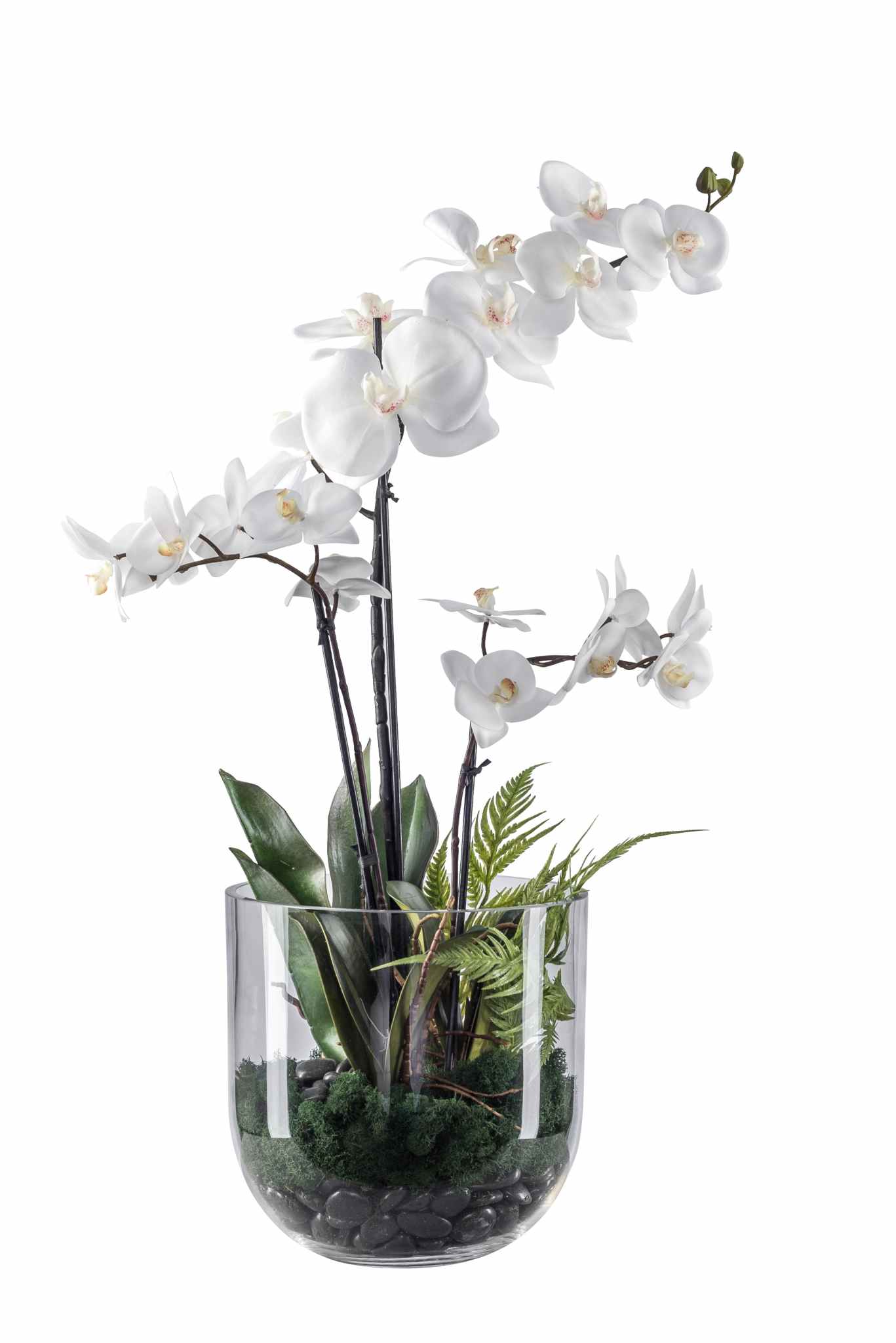 10" Colie Bowl Glass Vase with Orchid Arrangement AR1065