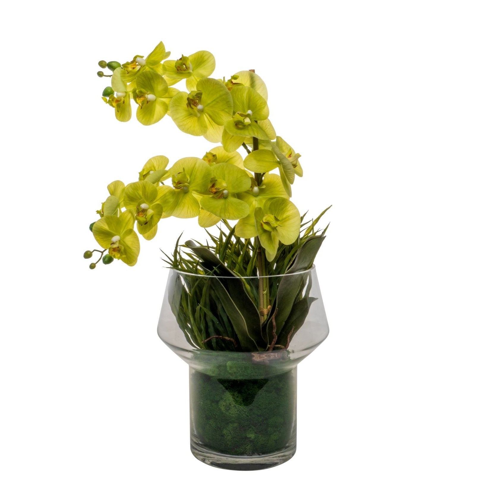 11" Lily Vase with Green Orchid Arrangement AR1545