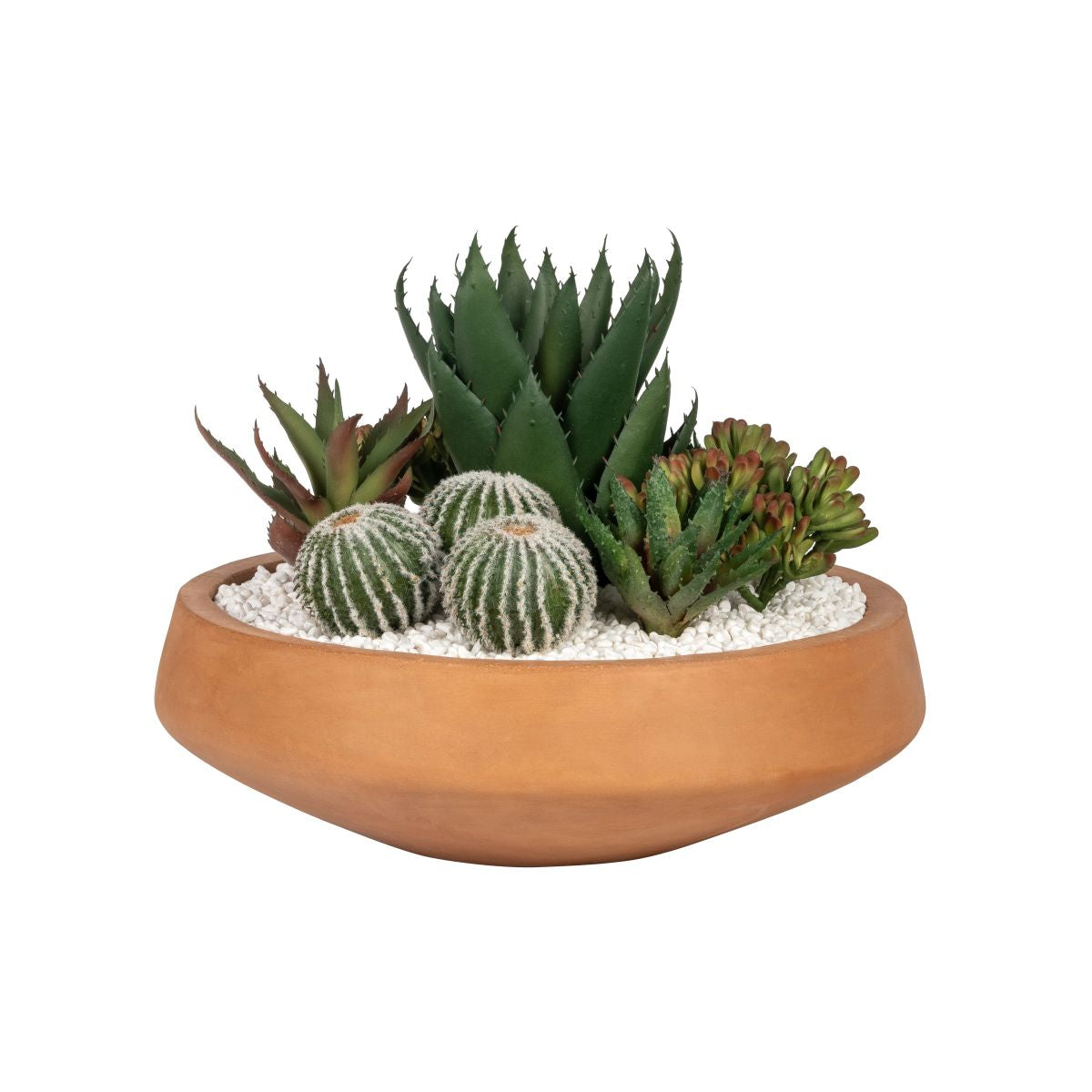 18" Burnt Orange Mack Bowl with Succulent Arrangement AR1246