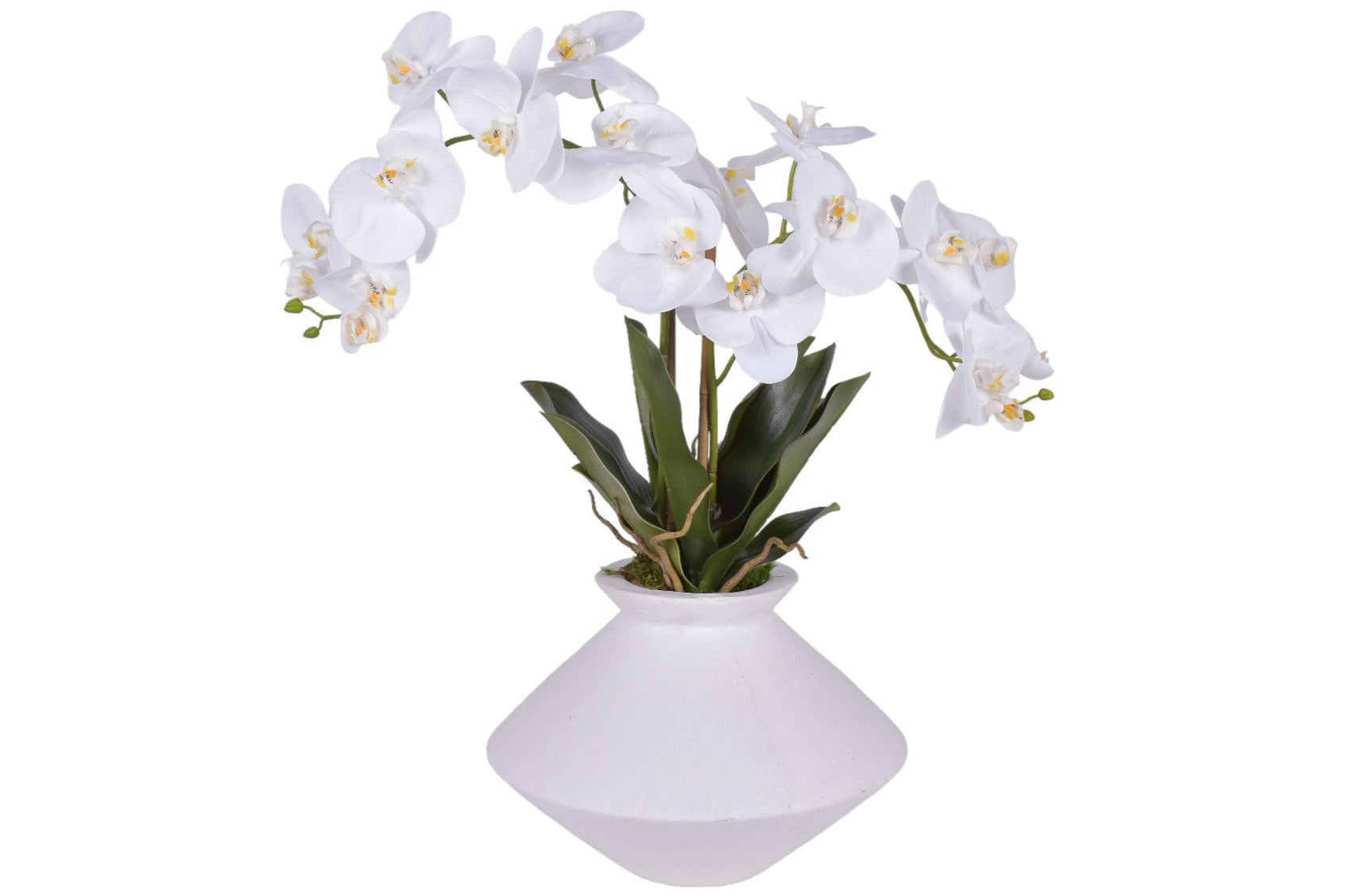 White Stanley Vase with Orchid Arrangement AR1799